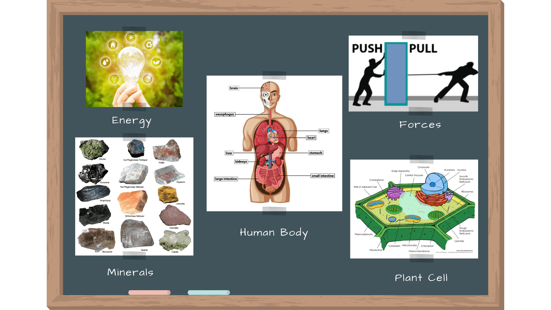 Fun Science Club Courses Banner Fun Science Club Courses Banner